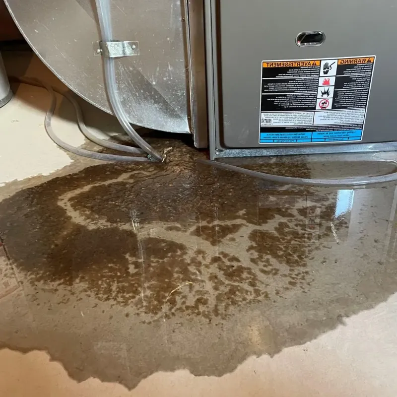Pipe Burst and Leak Restoration in Stansbury park, UT